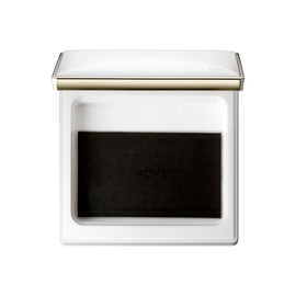 BRIGHTENING POWDER FOUNDATION (Case)